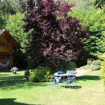 Confortable Avec Jardin Privatif Pres De Saint-die-des-vosges - Fr-1-589-844 *
