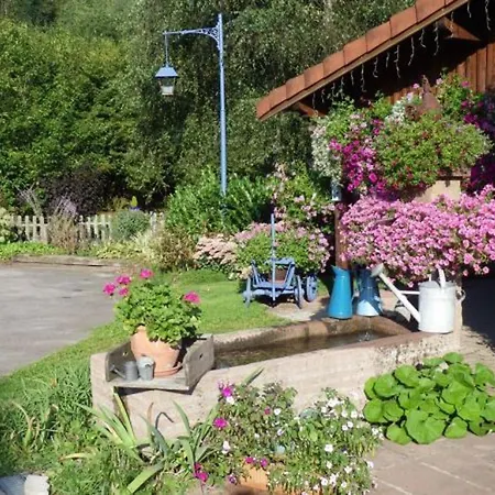 Confortable Avec Jardin Privatif Pres De Saint-die-des-vosges - Fr-1-589-844 * Provenchères-sur-Fave