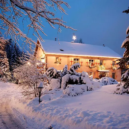 Confortable Avec Jardin Privatif Pres De Saint-die-des-vosges - Fr-1-589-844