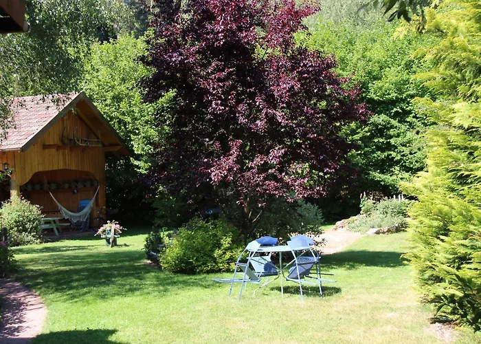 Confortable Avec Jardin Privatif Pres De Saint-die-des-vosges - Fr-1-589-844 *