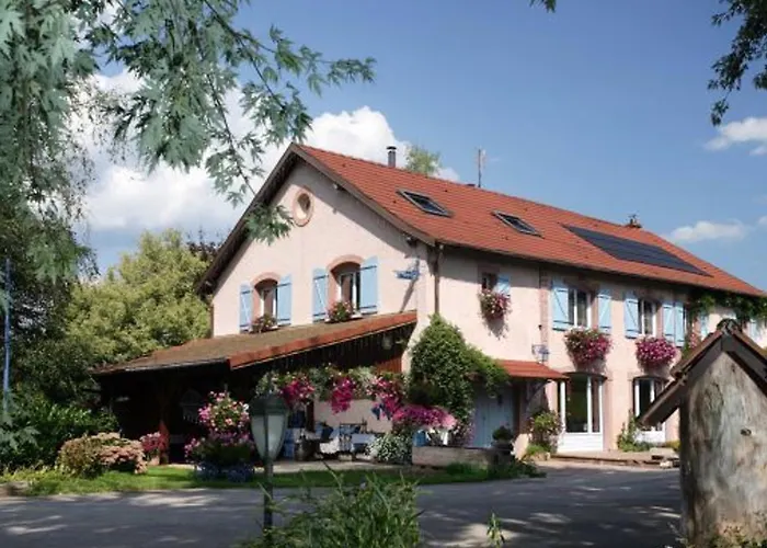 Confortable Avec Jardin Privatif Pres De Saint-die-des-vosges - Fr-1-589-844 度假居 *