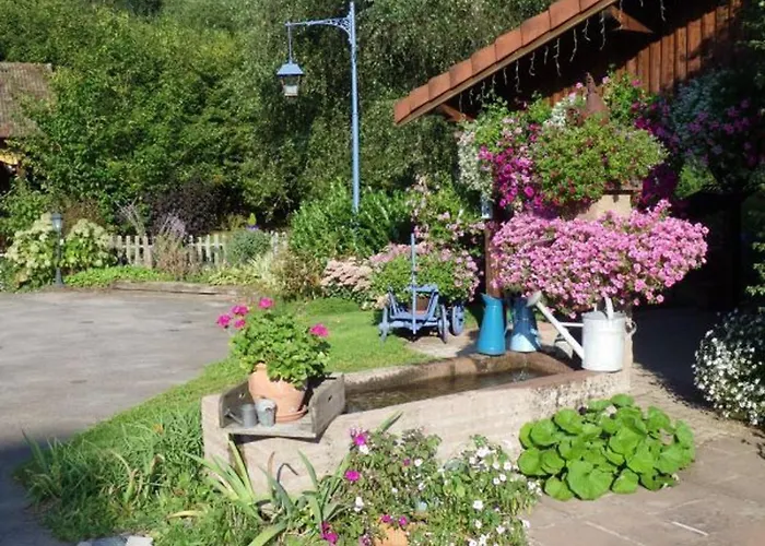 Confortable Avec Jardin Privatif Pres De Saint-die-des-vosges - Fr-1-589-844 * Provenchères-sur-Fave