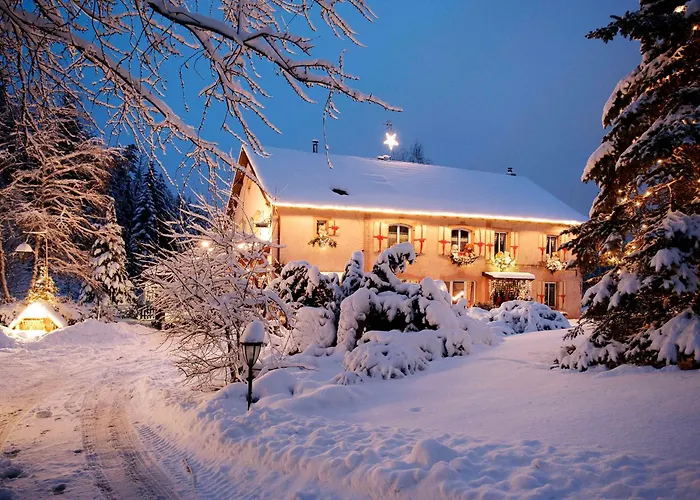 Confortable Avec Jardin Privatif Pres De Saint-die-des-vosges - Fr-1-589-844