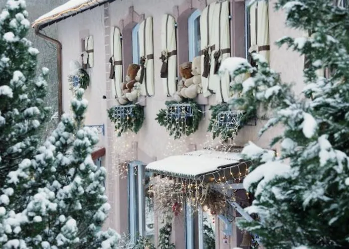 Confortable Avec Jardin Privatif Pres De Saint-die-des-vosges - Fr-1-589-844 度假居